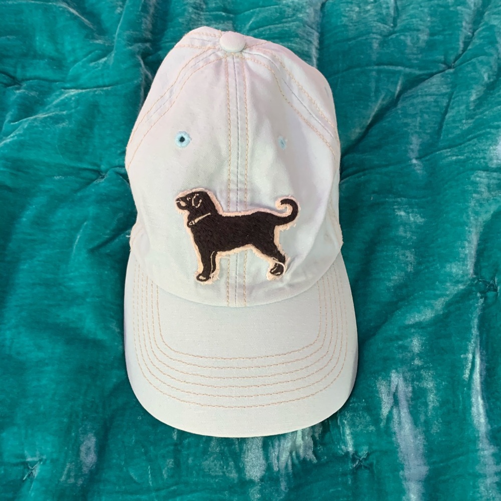 black dog light blue adjustable hat